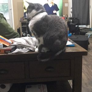 Meet your Posher, Natalie